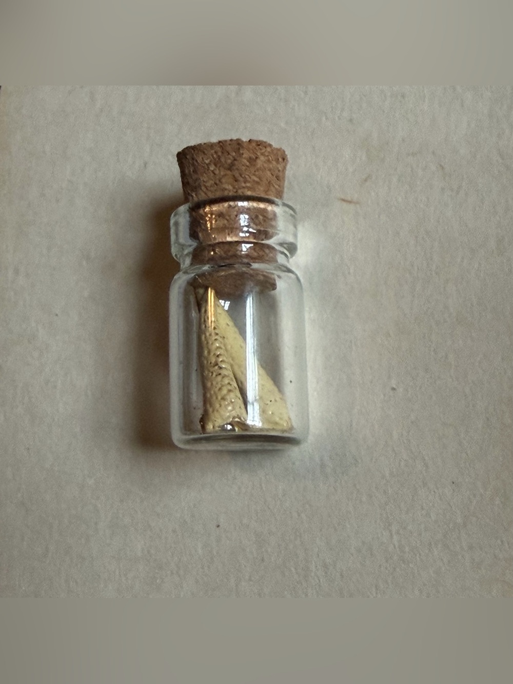 Miniature Cork Bottle Crawfish Claw Oddity!